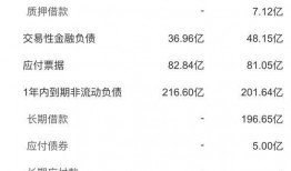 荣盛地产爆料最新消息,揭秘公司重大战略调整与未来发展动向